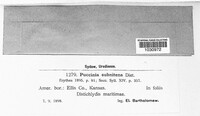 Image Associated With the Occurence